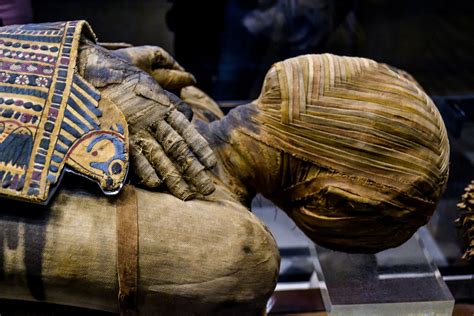 mumhi|Mummy Definition & Meaning .